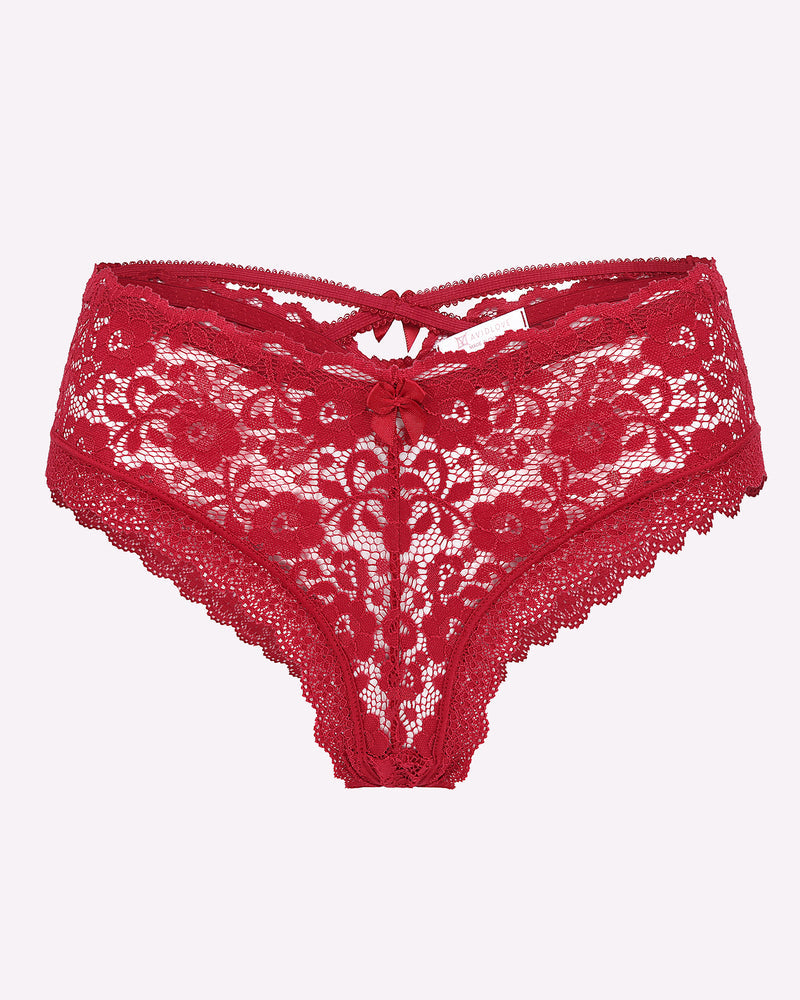Lace Criss Cross Back Floral Hipster Panties