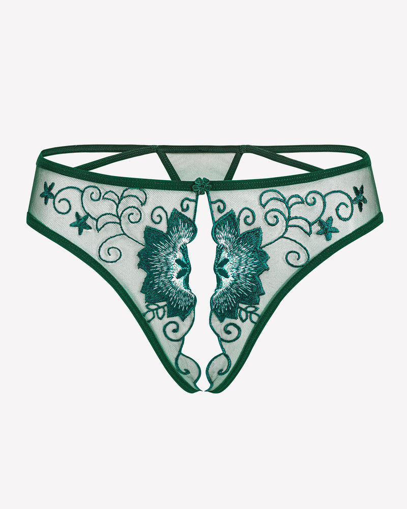 Floral Briefs Embroidered Thongs Panties