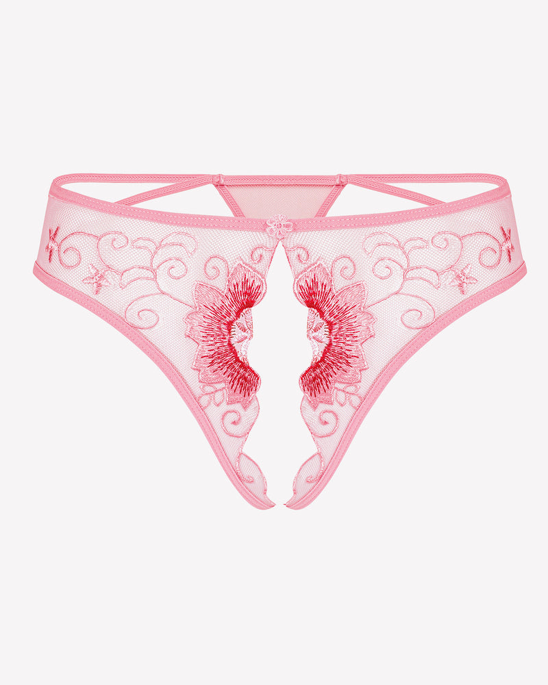 Floral Briefs Embroidered Thongs Panties