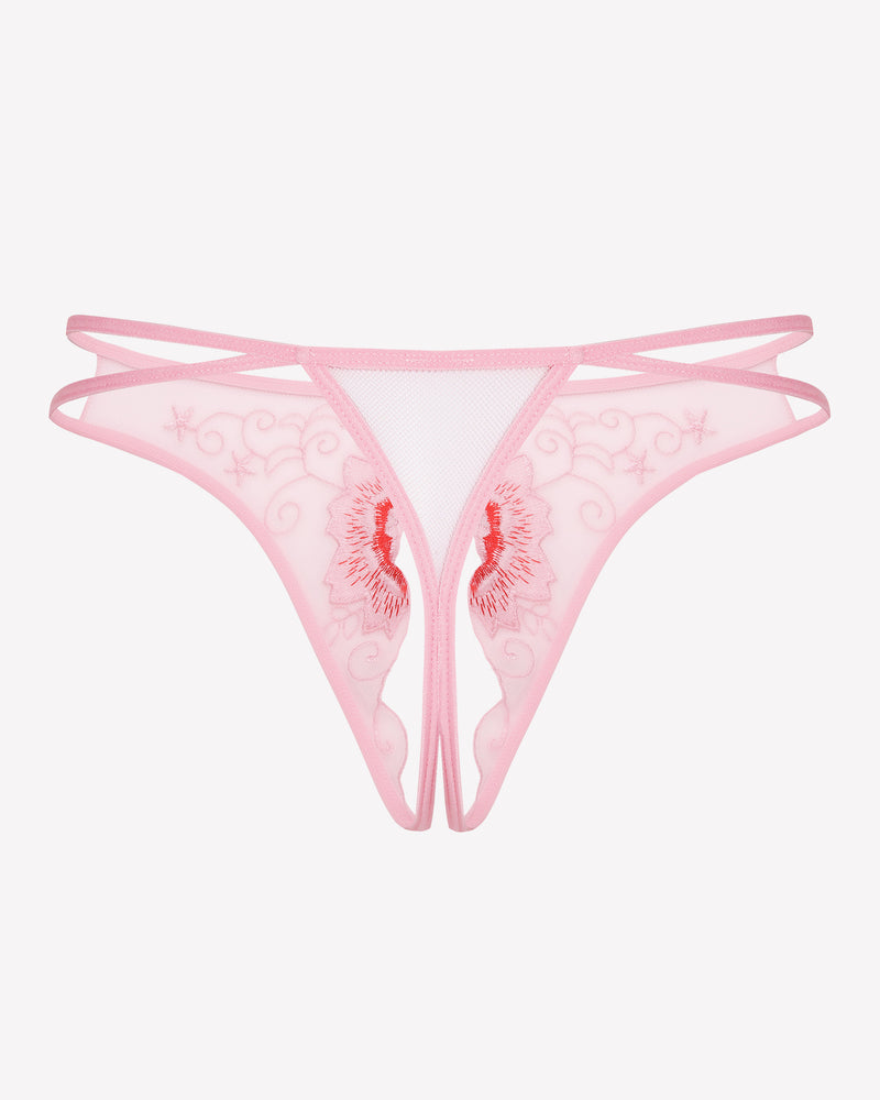 Floral Briefs Embroidered Thongs Panties