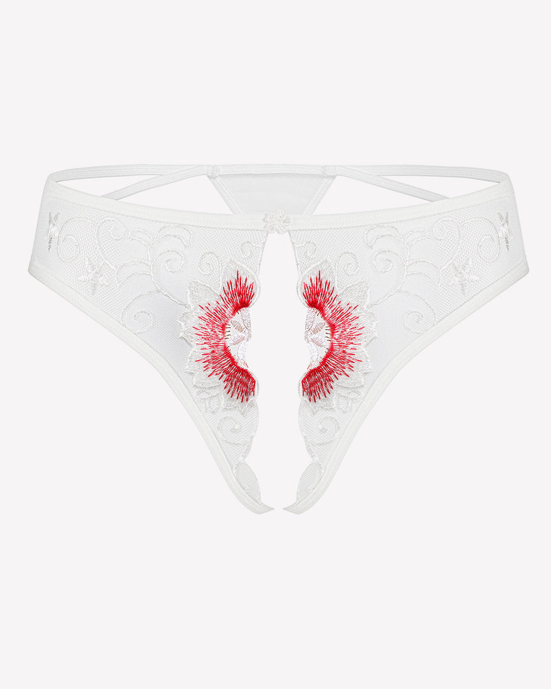 Floral Briefs Embroidered Thongs Panties